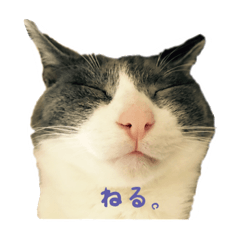 [LINEスタンプ] うちのどうぶつたち。