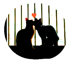 [LINEスタンプ] 茶トラとさび猫 