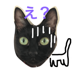[LINEスタンプ] ねこねこねスタンプ 