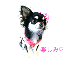 [LINEスタンプ] ラブちゃんスタンプ
