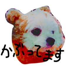 [LINEスタンプ] 桃太郎通信Ⅱ