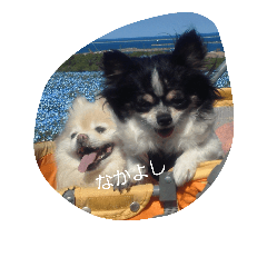 [LINEスタンプ] モモとナナ