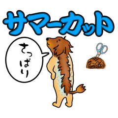 [LINEスタンプ] ダックスルイちゃん