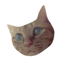 [LINEスタンプ] 清正倶楽部