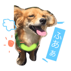 [LINEスタンプ] ハーチャ日和