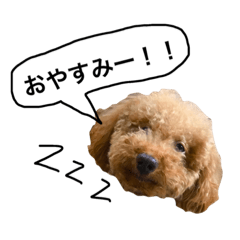 [LINEスタンプ] あいさつぷーちゃん