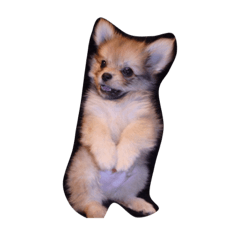 [LINEスタンプ] こたこた♡