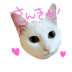 [LINEスタンプ] つぶみるつき スタンプ