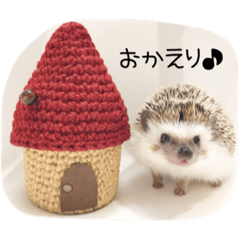 [LINEスタンプ] ハリネズミのれんくん