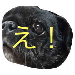 [LINEスタンプ] 毎日Tota！
