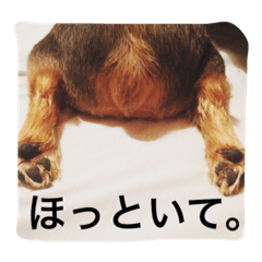 [LINEスタンプ] デカヨーキーのコロン