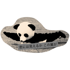 [LINEスタンプ] ぱんだせんせい 1