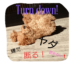 [LINEスタンプ] ドッグリフレオッジ 3