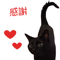 [LINEスタンプ] Thank you for my family.