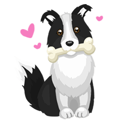 [LINEスタンプ] Polly the Border Collie