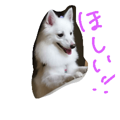 [LINEスタンプ] 愛犬ピース