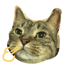 [LINEスタンプ] にゃーな気分