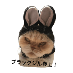[LINEスタンプ] ブラックジル