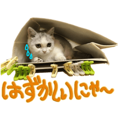 [LINEスタンプ] しのたんスタンプ②