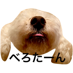[LINEスタンプ] ちょたーーん