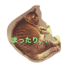 [LINEスタンプ] まるねこ★つくば