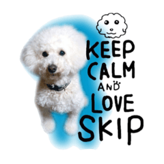 [LINEスタンプ] スキップSKIP！！！ビションとプードル♡