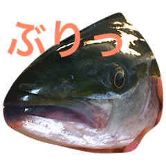 [LINEスタンプ] 魚たち