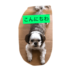 [LINEスタンプ] りきいなりちゃー