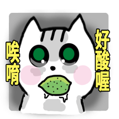 [LINEスタンプ] chao hu cat part12