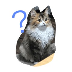 [LINEスタンプ] キャット エイダ