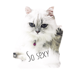 [LINEスタンプ] Kaow Neung