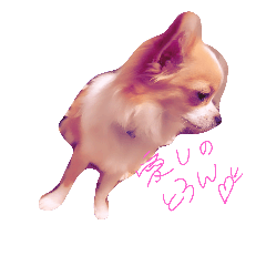 [LINEスタンプ] のんちゃんらぶ