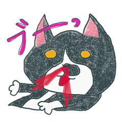 [LINEスタンプ] はちわれ猫の一徳スタンプ2