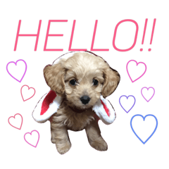 [LINEスタンプ] ルーシースタンプ2
