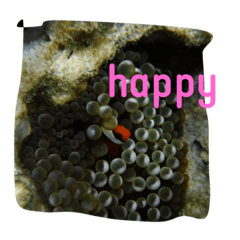[LINEスタンプ] 海の魚スタンプ