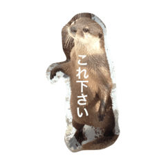 [LINEスタンプ] 色んな動物に言葉をつけて