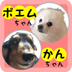 [LINEスタンプ] 私たちの犬 ポエムとカン