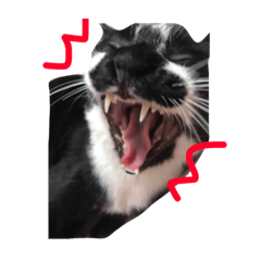 [LINEスタンプ] 我が家のサスケ