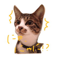 [LINEスタンプ] とらまる1