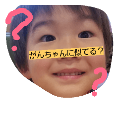 [LINEスタンプ] こうせいとぜん