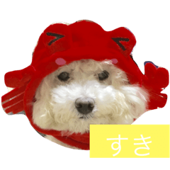 [LINEスタンプ] けんくん らぶ