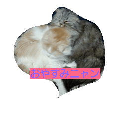 [LINEスタンプ] ジャックアクア