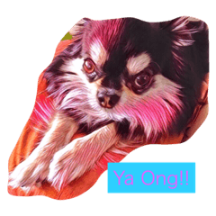 [LINEスタンプ] LuPang