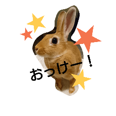 [LINEスタンプ] うさぎの  うーちゃん