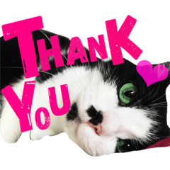 [LINEスタンプ] MyCats S M H