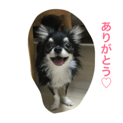 [LINEスタンプ] kinako＆anko＆tono