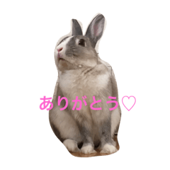 [LINEスタンプ] まったりMARO君