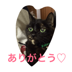 [LINEスタンプ] くうchan''