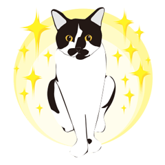 [LINEスタンプ] 白黒ハチワレヒゲ猫ドロシー