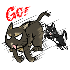 [LINEスタンプ] Catty Lifestyle of Miko ＆ Kola